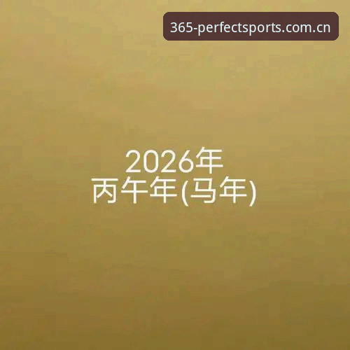 完美体育365平台vs最新wm替代站：2026年热门竞猜平台选择全面对比