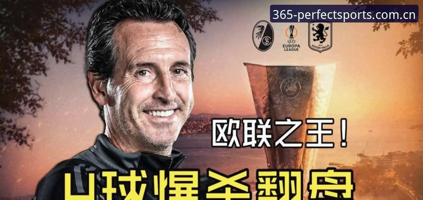资深用户分享：在完美体育365平台见证埃梅里欧联杯封神之夜